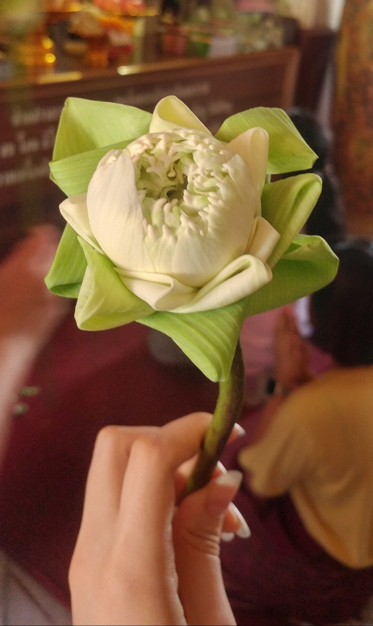 0414191016b_hdr.jpg